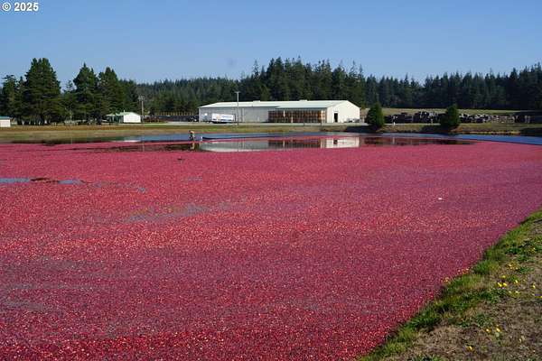 237 Acres of Improved Agricultural Land for Sale in Bandon, Oregon