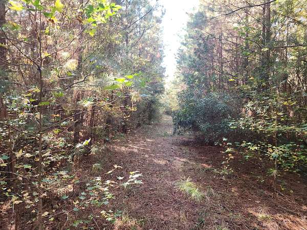 54.3 Acres of Recreational Land for Sale in Nashville, North Carolina