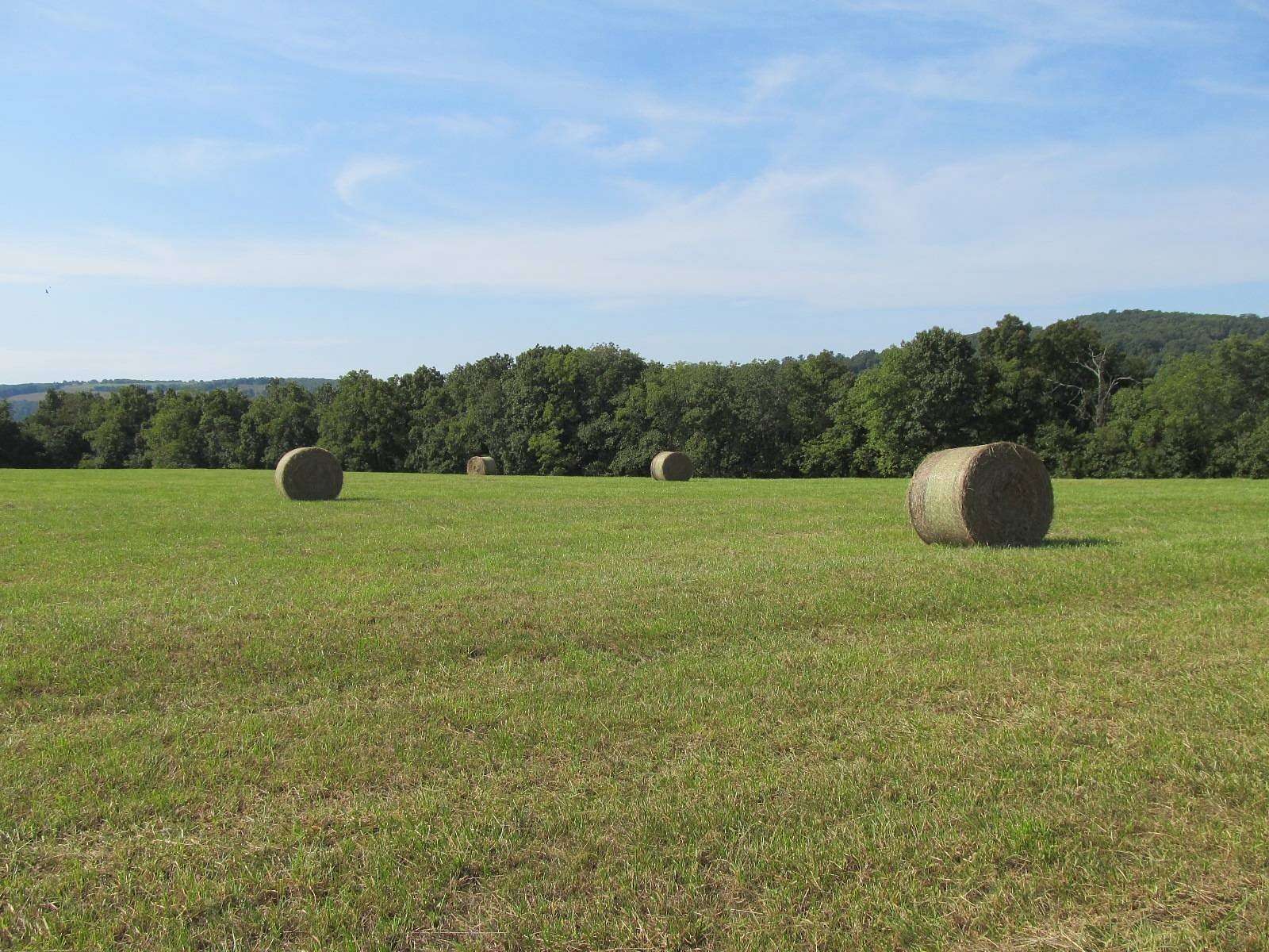 40 Acres of Land for Sale in Huntsville, Arkansas