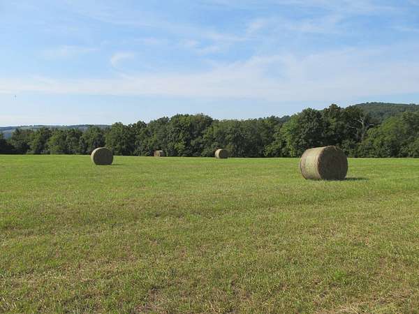 40 Acres of Land for Sale in Huntsville, Arkansas