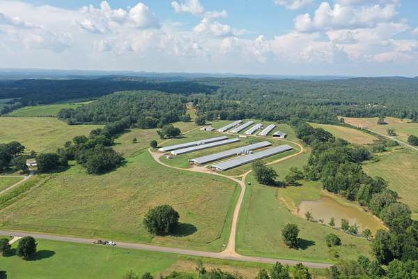 78 Acres of Land for Sale in Lincoln, Alabama