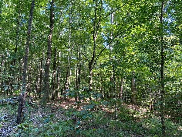 1.2 Acres of Residential Land for Sale in Adamsville, Tennessee