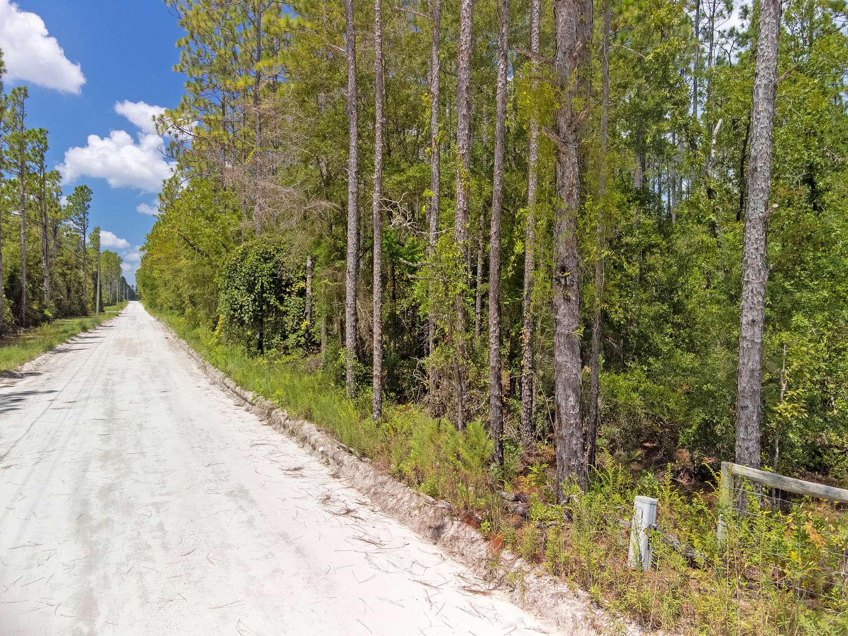 13.3 Acres of Land for Sale in Bell, Florida