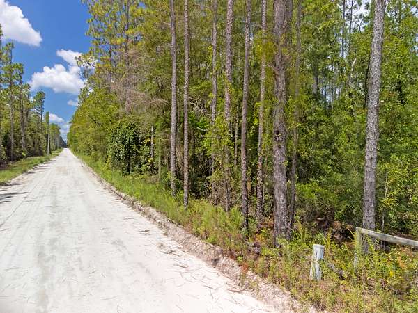 13.3 Acres of Land for Sale in Bell, Florida