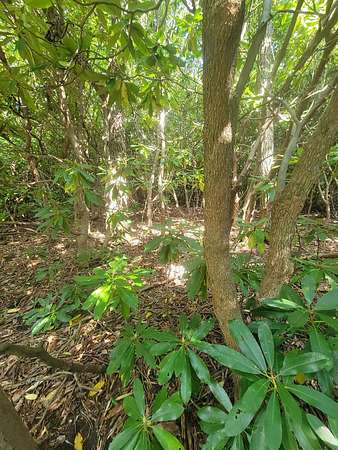 3.7 Acres of Land for Sale in Meadows of Dan, Virginia