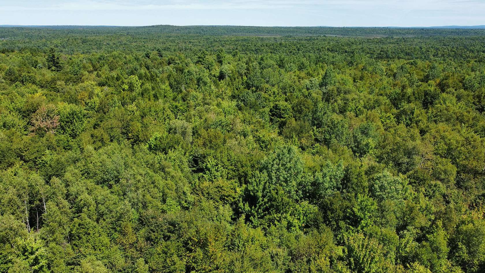 25.2 Acres of Recreational Land & Farm for Sale in Winn, Maine