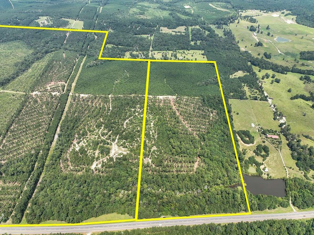 80 Acres of Recreational Land for Sale in Woodville, Texas