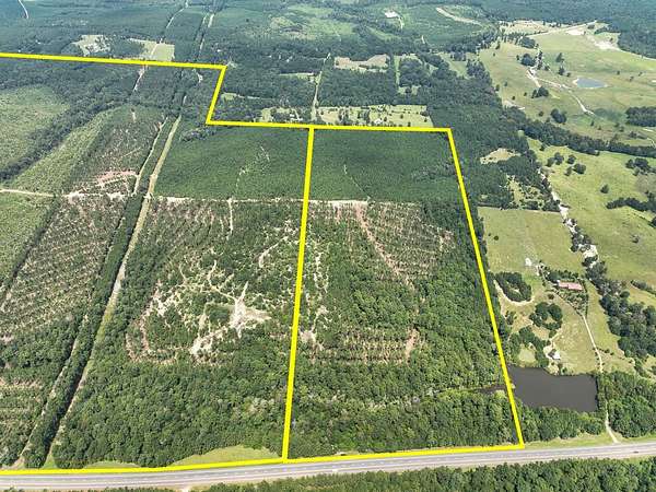 80 Acres of Recreational Land for Sale in Woodville, Texas