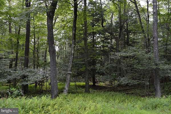 0.4 Acres of Residential Land for Sale in Terra Alta, West Virginia