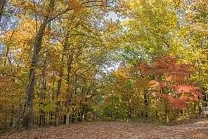 0.26 Acres of Residential Land for Sale in Bella Vista, Arkansas