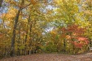 0.26 Acres of Residential Land for Sale in Bella Vista, Arkansas