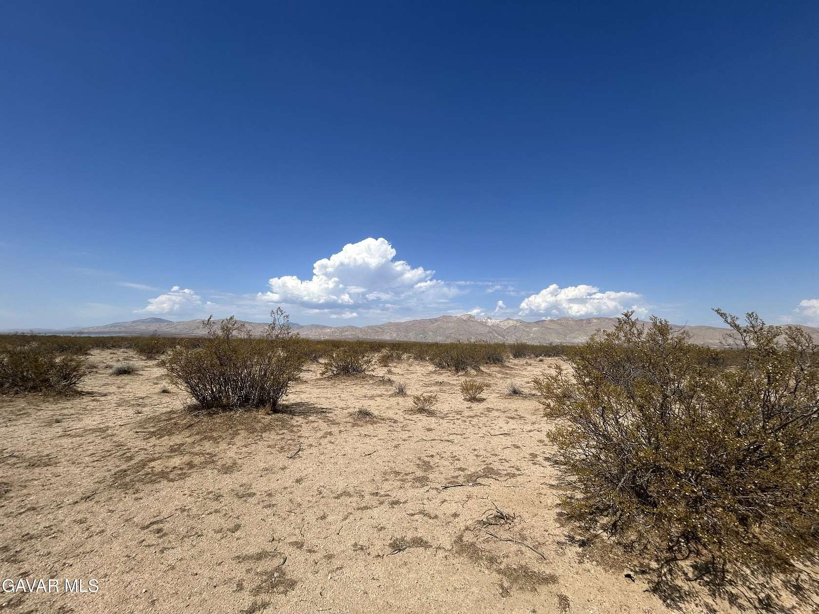 Land for Sale in California City, California
