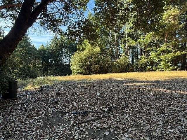 21 Acres of Recreational & Residential Land for Sale in Honeydew, California