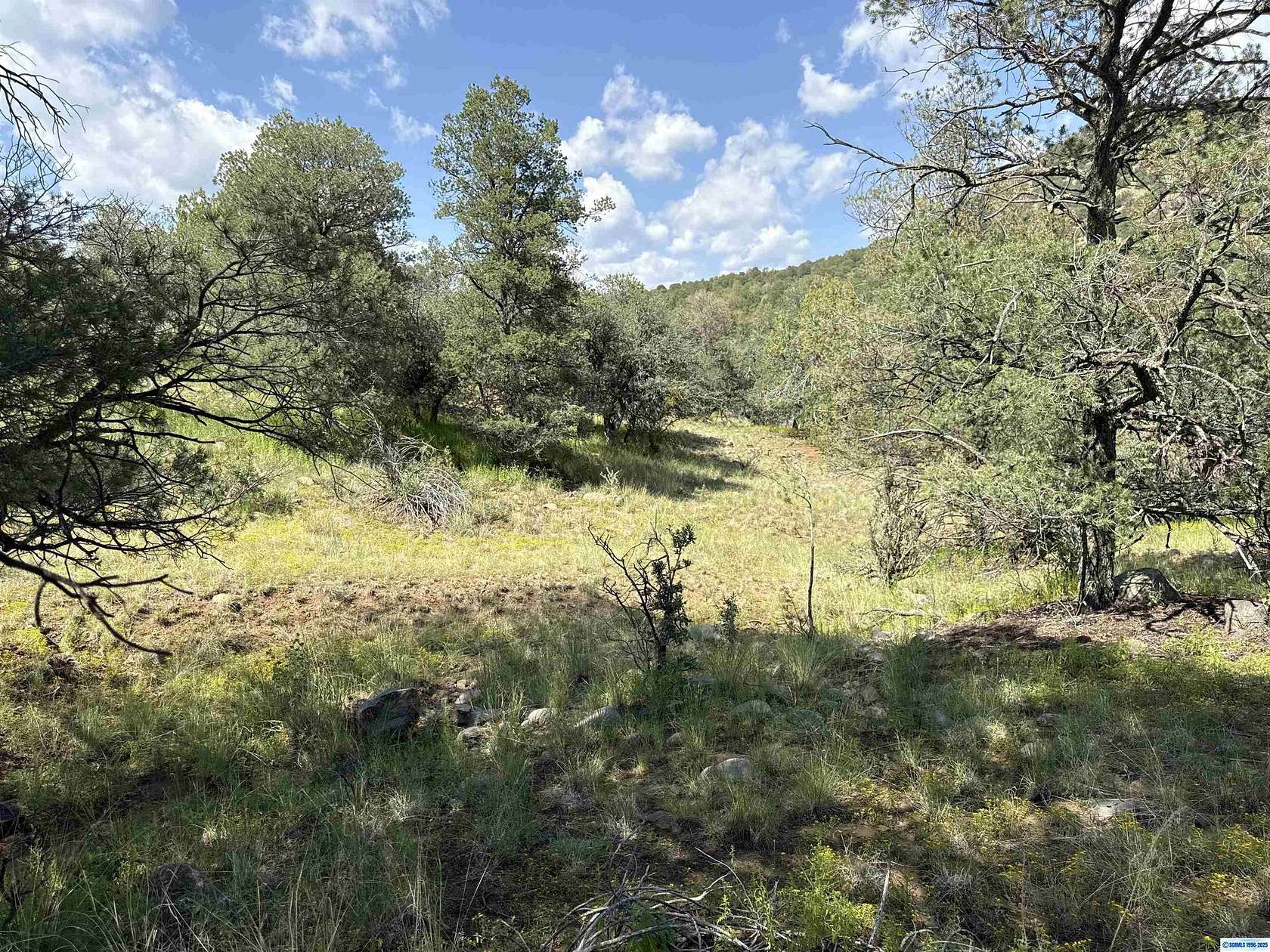 10 Acres of Residential Land for Sale in Silver City, New Mexico