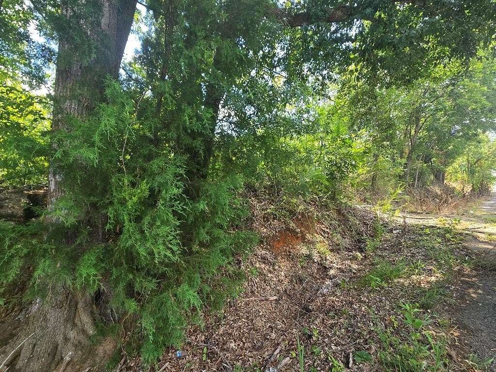 0.14 Acres of Residential Land for Sale in Palestine, Texas