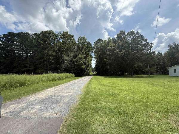 31.8 Acres of Land for Sale in Andrews, South Carolina