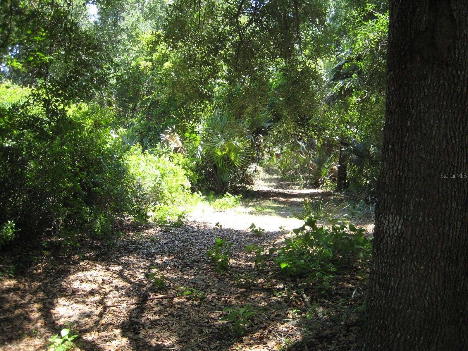 53.3 Acres of Recreational Land & Farm for Sale in Oak Hill, Florida