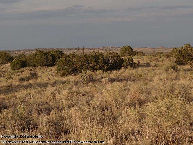 0.5 Acres of Residential Land for Sale in Rio Rancho, New Mexico