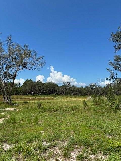 22.9 Acres of Recreational Land for Sale in Umatilla, Florida
