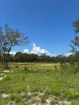 22.9 Acres of Recreational Land for Sale in Umatilla, Florida
