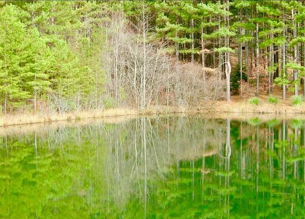 0.63 Acres of Land for Sale in Clarkesville, Georgia