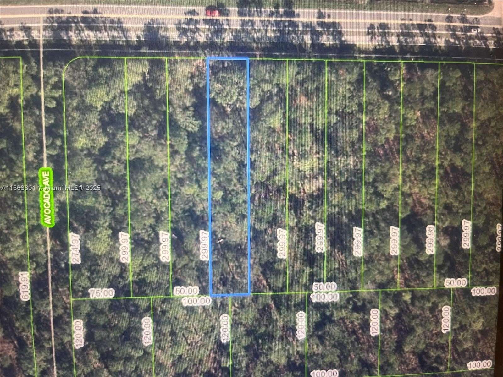 0.34 Acres of Residential Land for Sale in Sebring, Florida