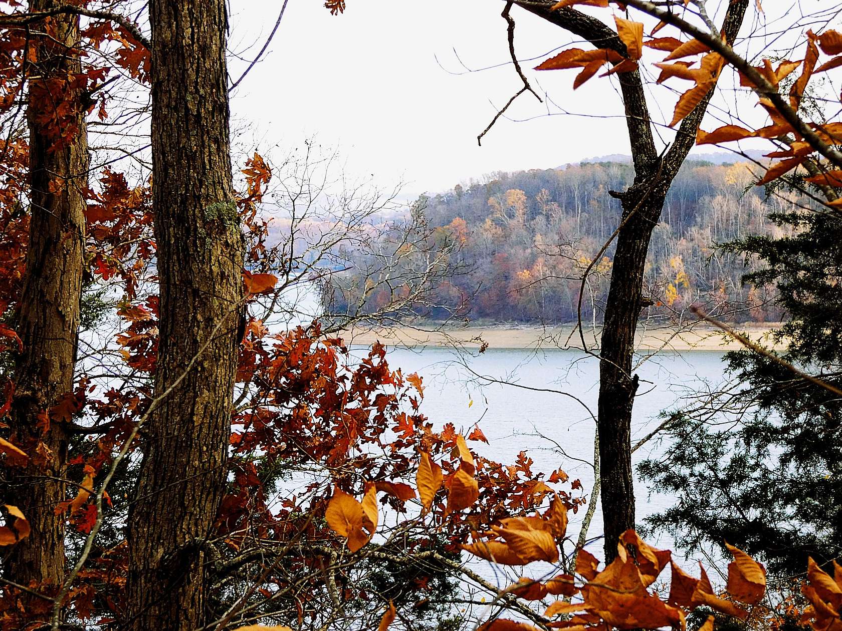 0.43 Acres of Residential Land for Sale in Nancy, Kentucky