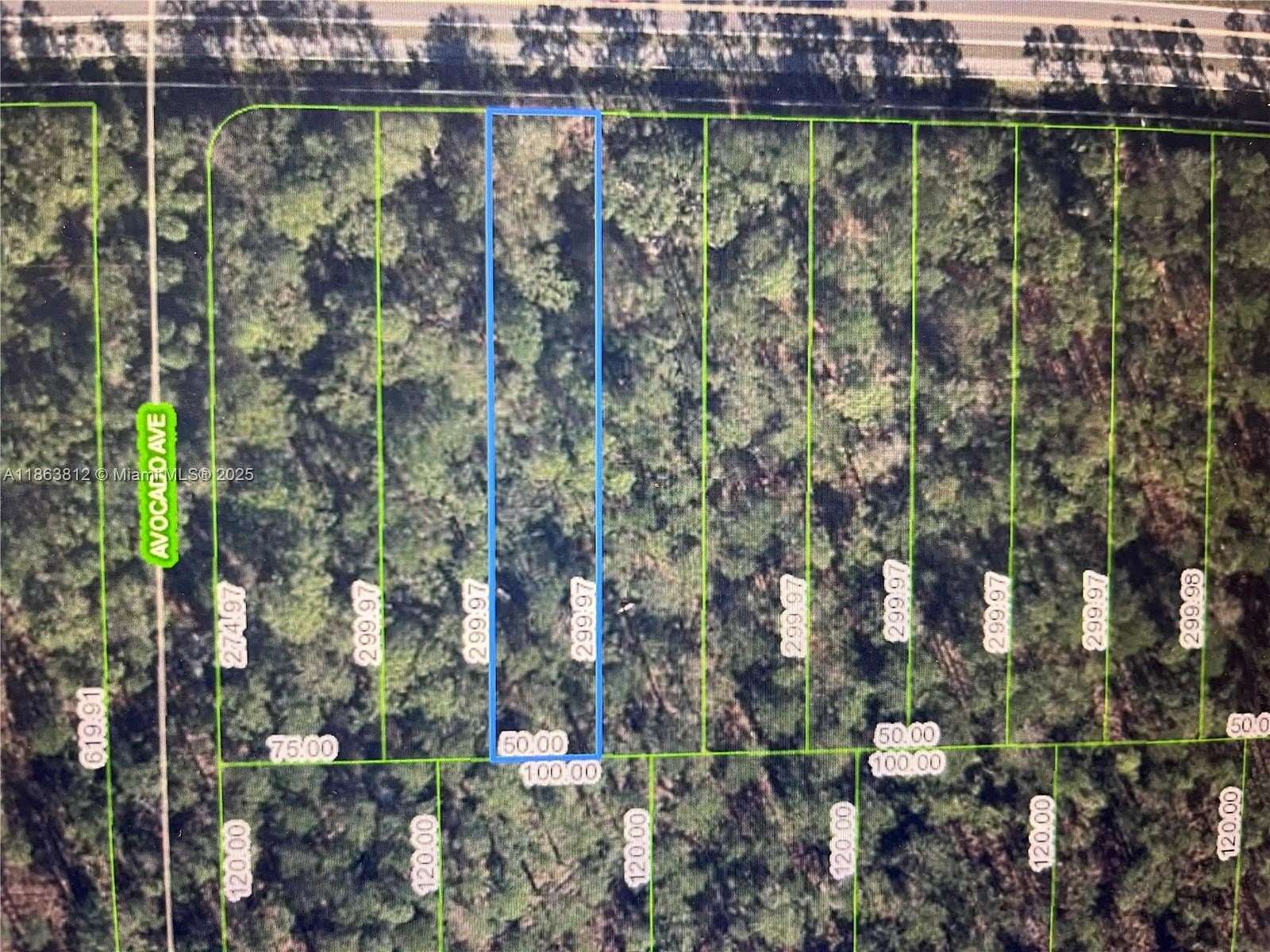 0.34 Acres of Residential Land for Sale in Sebring, Florida