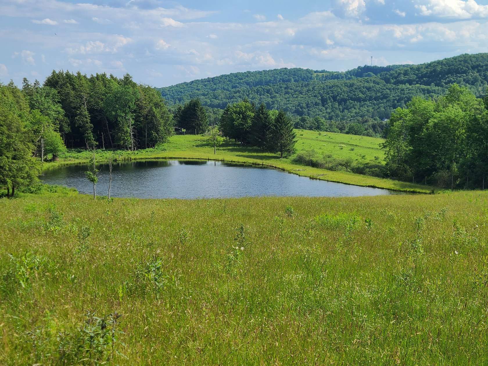 154 Acres of Land with Home for Sale in West Edmeston, New York
