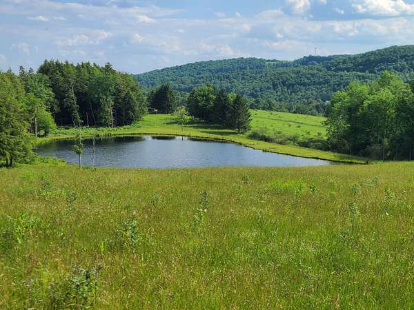154 Acres of Land with Home for Sale in West Edmeston, New York