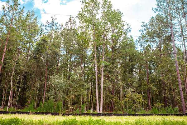 Residential Land for Sale in Clarks Hill, South Carolina