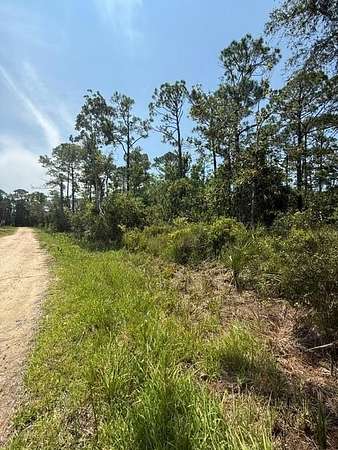 0.75 Acres of Land for Sale in Steinhatchee, Florida