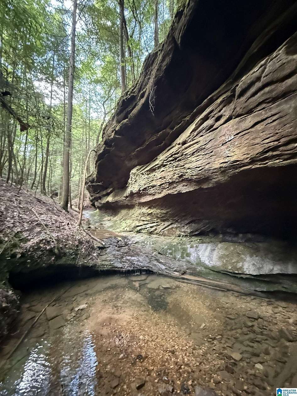 50 Acres of Recreational Land for Sale in Double Springs, Alabama