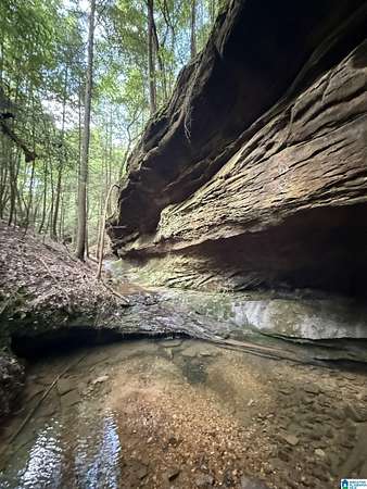 50 Acres of Recreational Land for Sale in Double Springs, Alabama