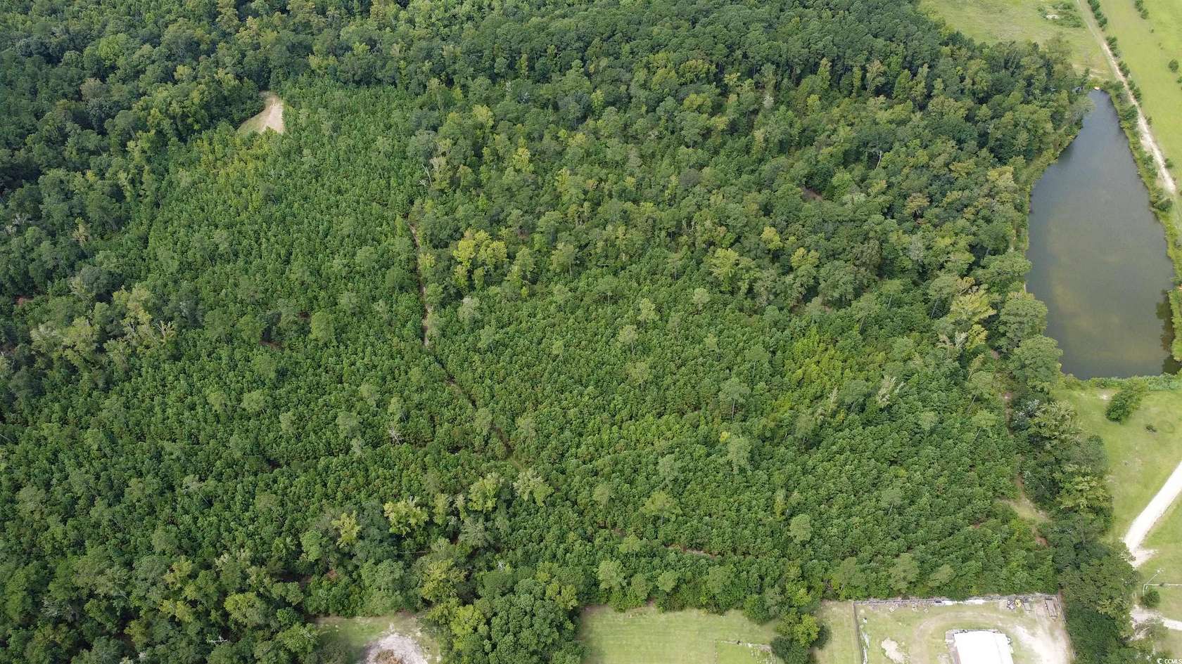 27.7 Acres of Recreational Land for Sale in Conway, South Carolina