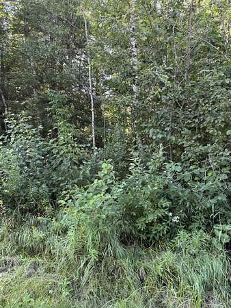 4.76 Acres of Residential Land for Sale in Esko, Minnesota