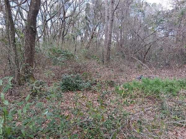 1.33 Acres of Residential Land for Sale in Grand Bay, Alabama