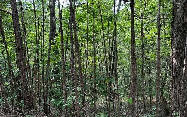 0.75 Acres of Land for Sale in Ellijay, Georgia
