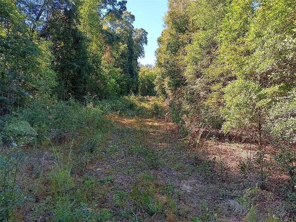 40.9 Acres of Land for Sale in Grand Bay, Alabama