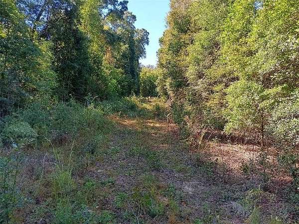 40.9 Acres of Land for Sale in Grand Bay, Alabama
