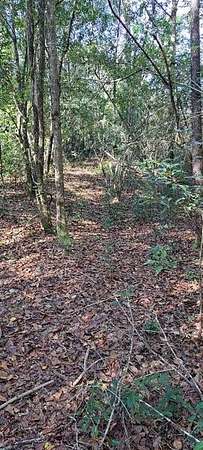 0.97 Acres of Residential Land for Sale in Eight Mile, Alabama