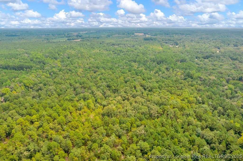 140 Acres of Recreational Land for Sale in Laurinburg, North Carolina
