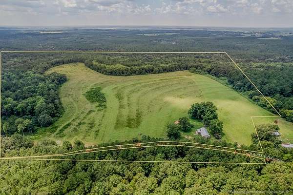 155 Acres of Land for Sale in Coffee Springs, Alabama