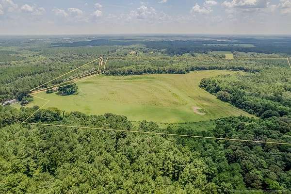 155 Acres of Recreational & Residential Land for Sale in Coffee Springs, Alabama
