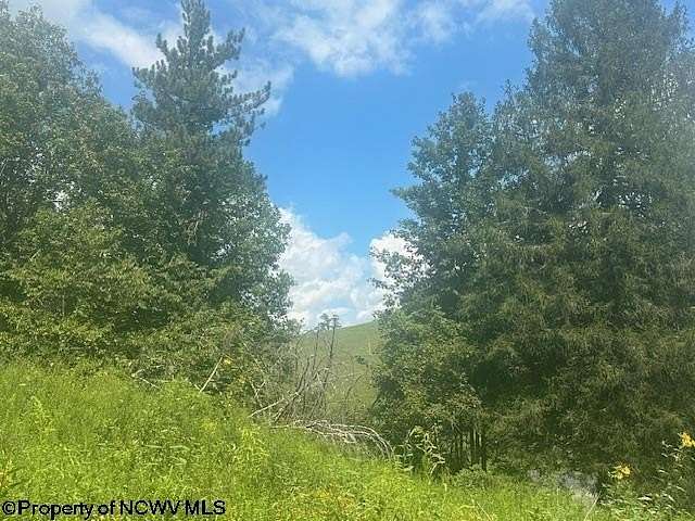 10 Acres of Residential Land for Sale in Belington, West Virginia