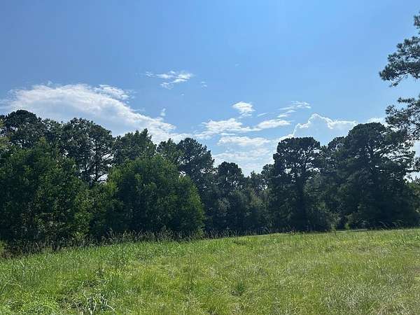 68 Acres of Land for Sale in Laurel, Mississippi