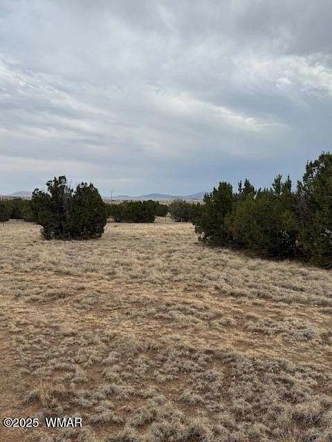 1 Acre of Residential Land for Sale in Concho, Arizona