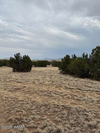 1 Acre of Residential Land for Sale in Concho, Arizona