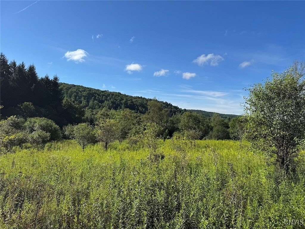 2.17 Acres of Land for Sale in Andover, New York