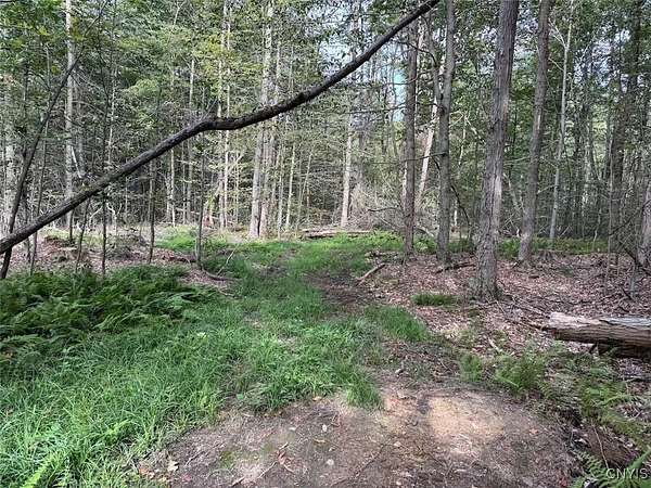 25 Acres of Recreational Land for Sale in East Concord, New York